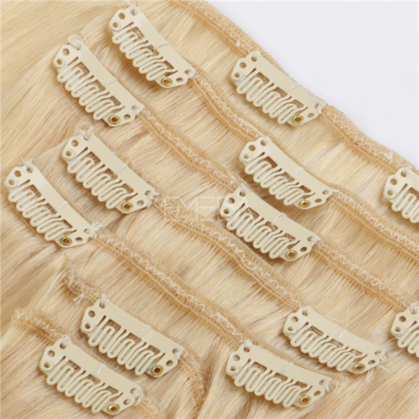 Clip in human hair extensions 30 inch blonde XS069
